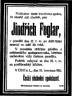 Parte Jindřicha Foglara Parte Jindřicha Foglara