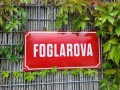 Foglarova - �erno�ice (2022)